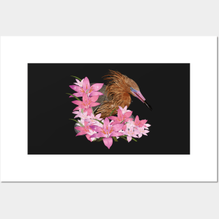 Reddish Egret Posters and Art